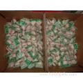 Normal Garlic packed 3pcs bag then 10kg carton